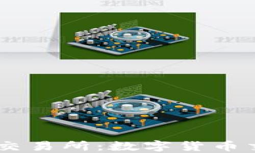 
深度解读 TZ 交易所：数字货币交易的未来之路
