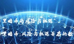 虚拟币黑暗币的风险与机遇虚拟币黑暗币：风险