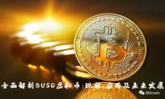 全面解析BUSD虚拟币：现状、应用及未来发展
