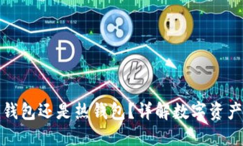 TP钱包是冷钱包还是热钱包？详解数字资产安全的选择